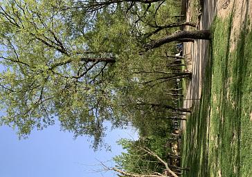 Pitches at Camping El Puente