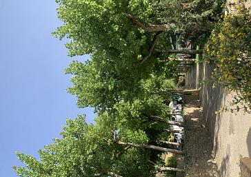 Pitches at Camping El Puente