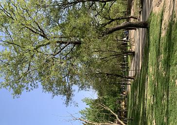 Pitches at Camping El Puente