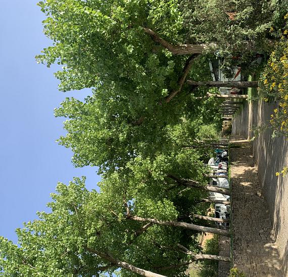 Pitches at Camping El Puente