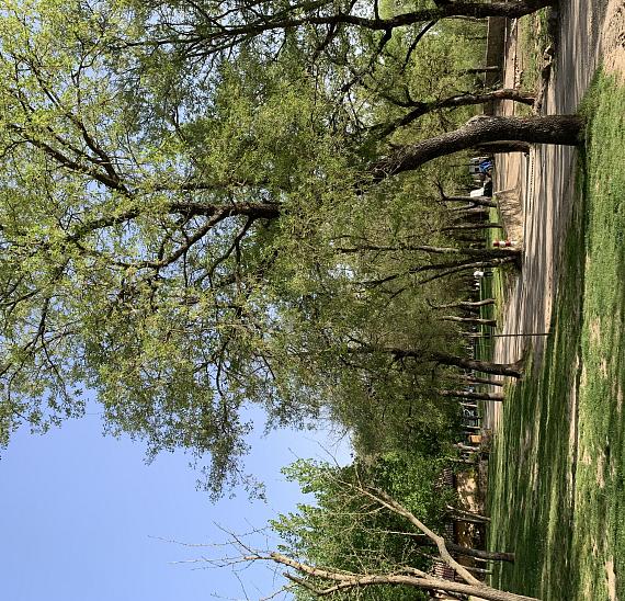 Pitches at Camping El Puente