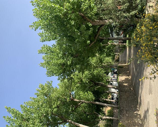 Pitches at Camping El Puente