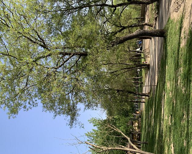 Pitches at Camping El Puente