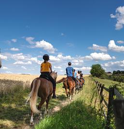 Fotogalerij van Camping El Puente