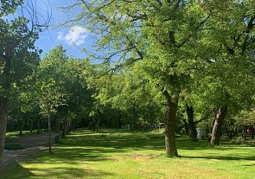 Pitches at Camping El Puente