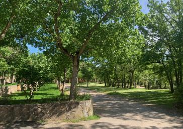 Pitches at Camping El Puente