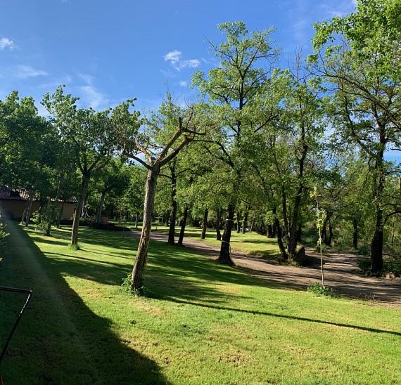 Pitches at Camping El Puente