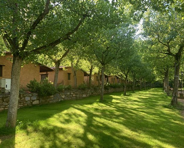 Pitches at Camping El Puente