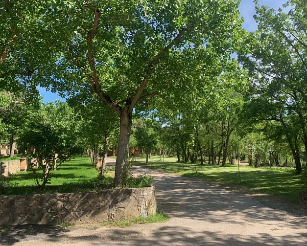 Pitches at Camping El Puente