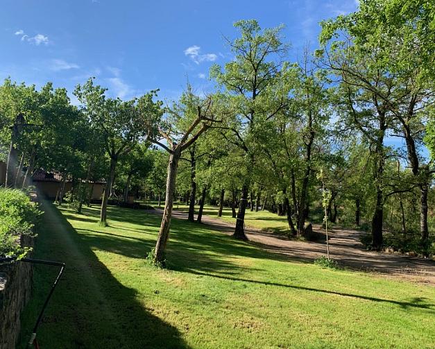 Pitches at Camping El Puente