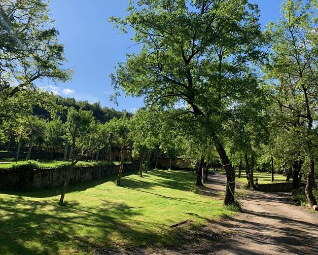 Pitches at Camping El Puente