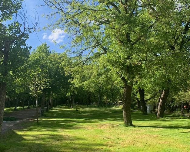 Pitches at Camping El Puente